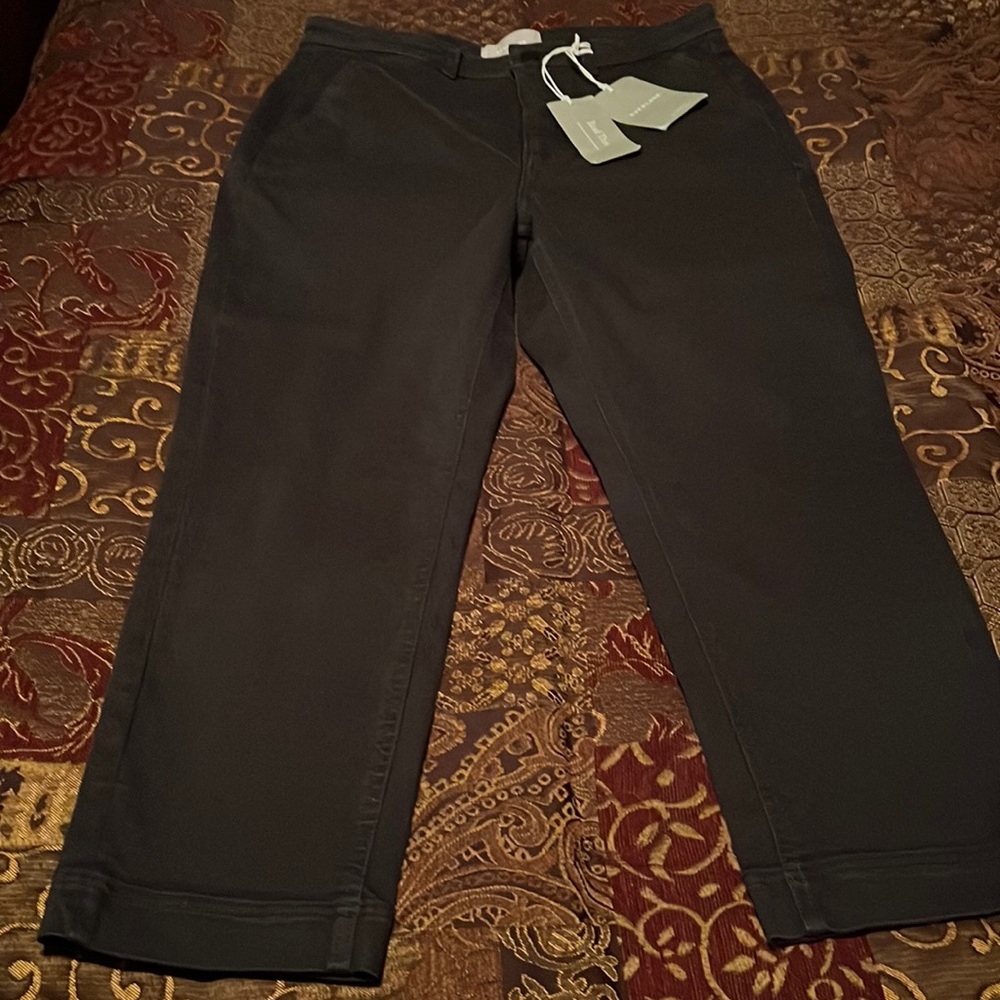 Everlane The Slim Leg Crop Ankle
